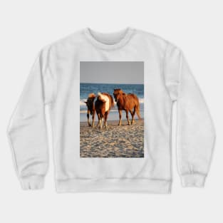 Assateague Beach Ponies Series - 02 Crewneck Sweatshirt